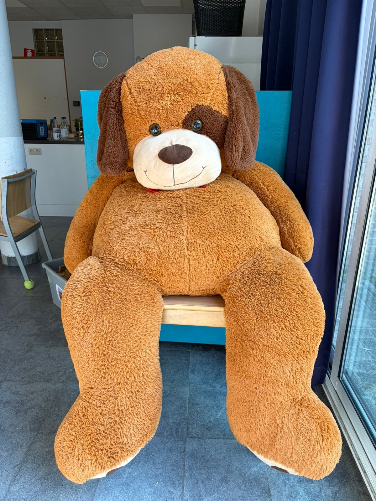 XXXL teddybeer, Ophalen, Zo goed als nieuw