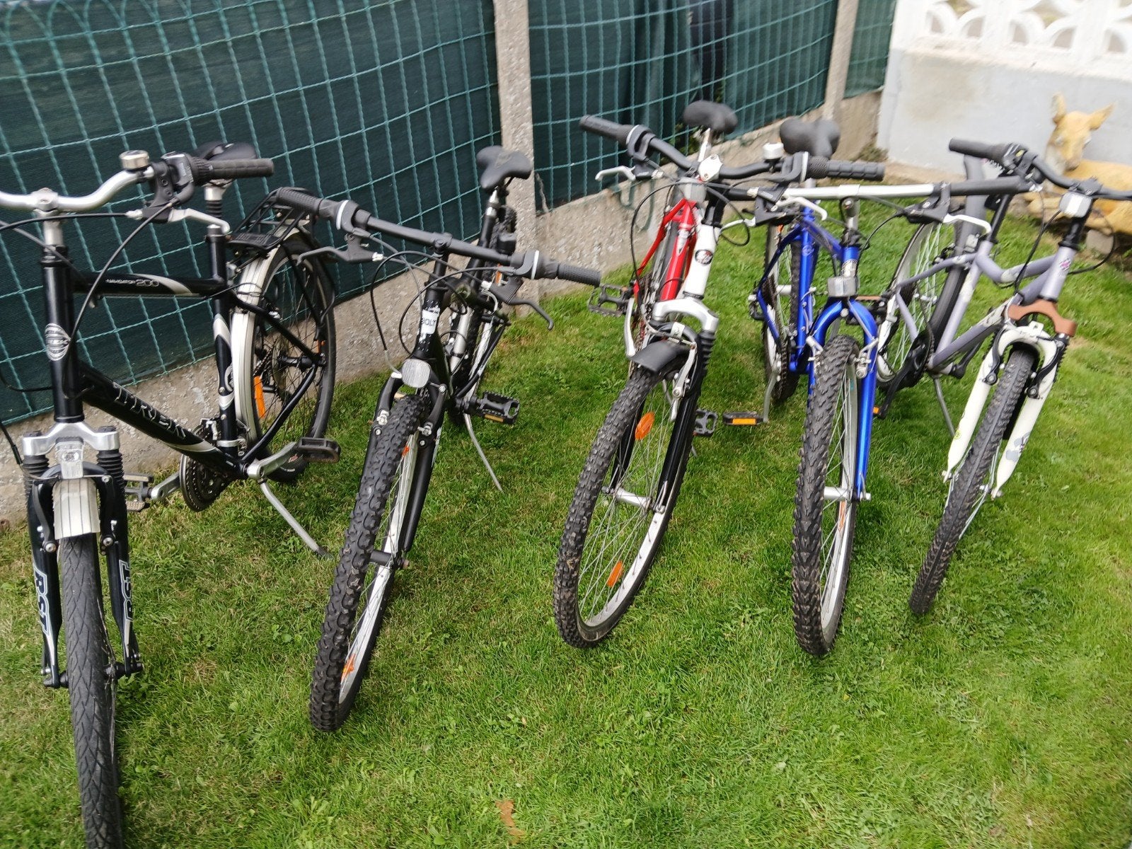5 fietsen te koop voor 250 euro, Fietsen en Brommers, Ophalen
