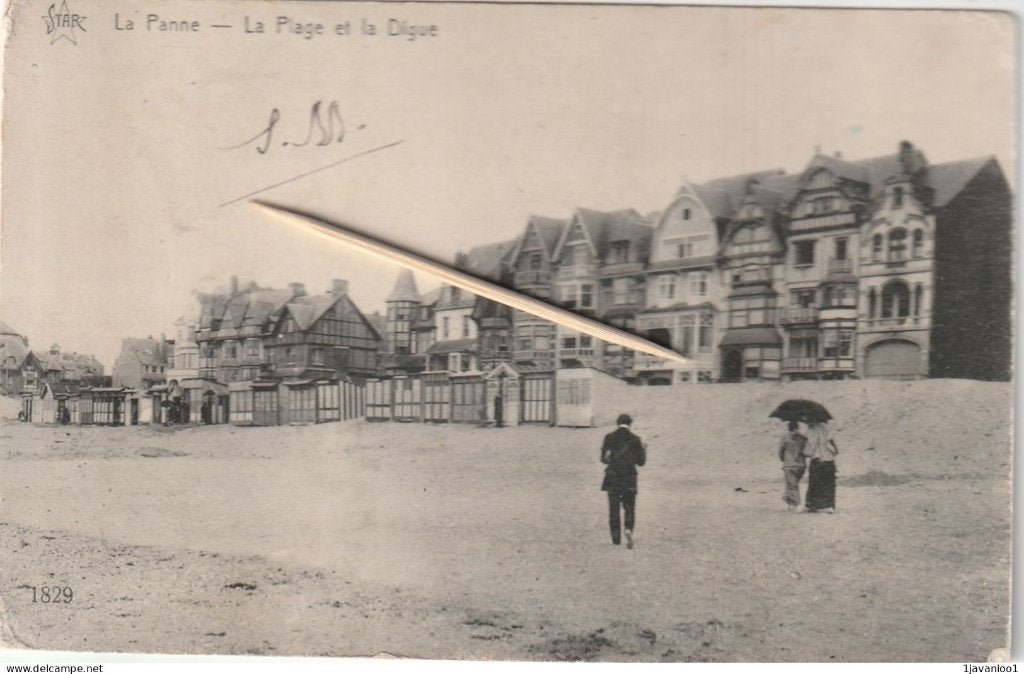 De Panne, Ophalen of Verzenden