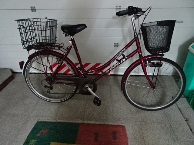 Damesfiets, Gebruikt, Velgrem, Versnellingen, Ophalen