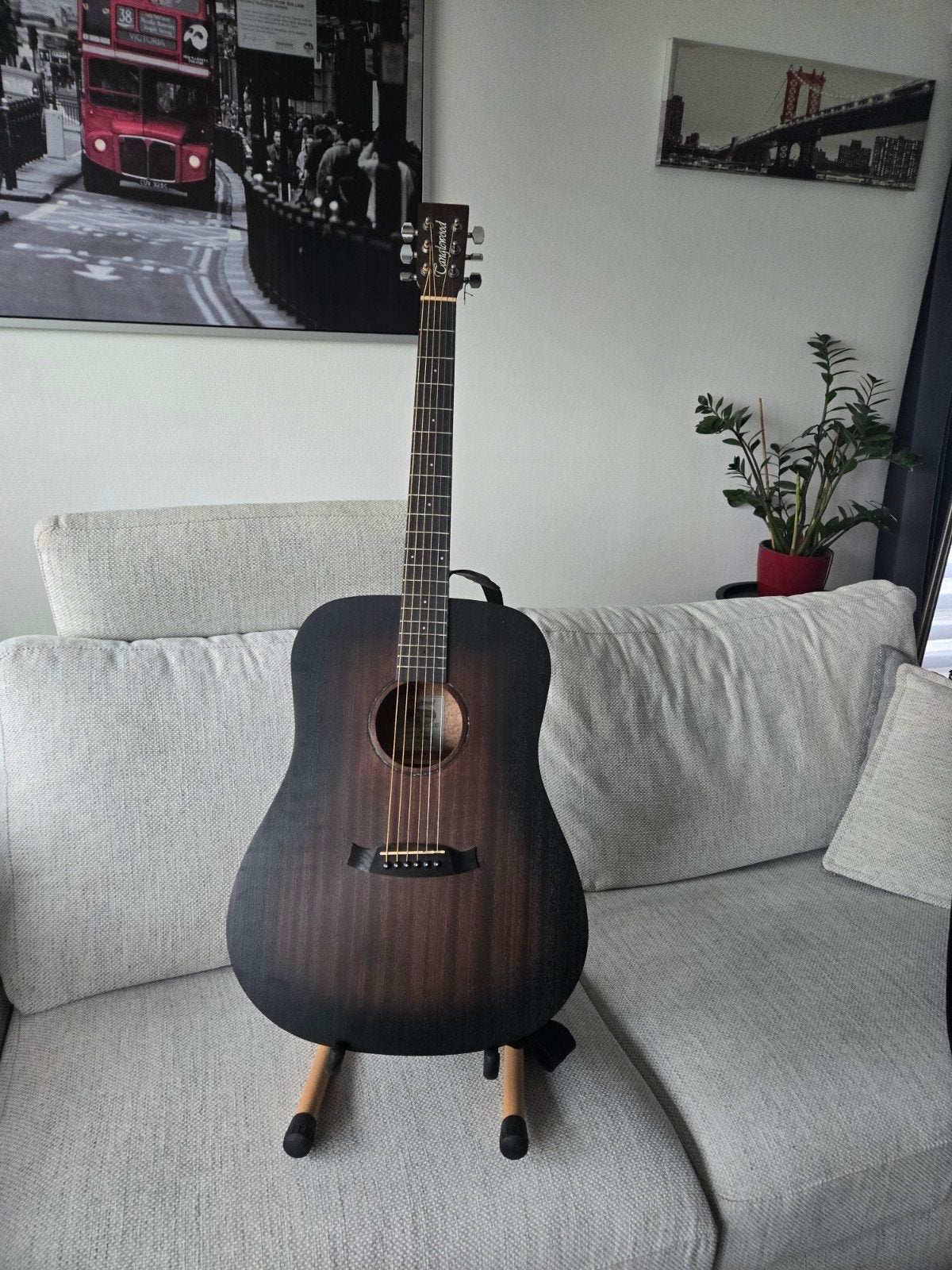 gitaar met draagtas en staander, Ophalen