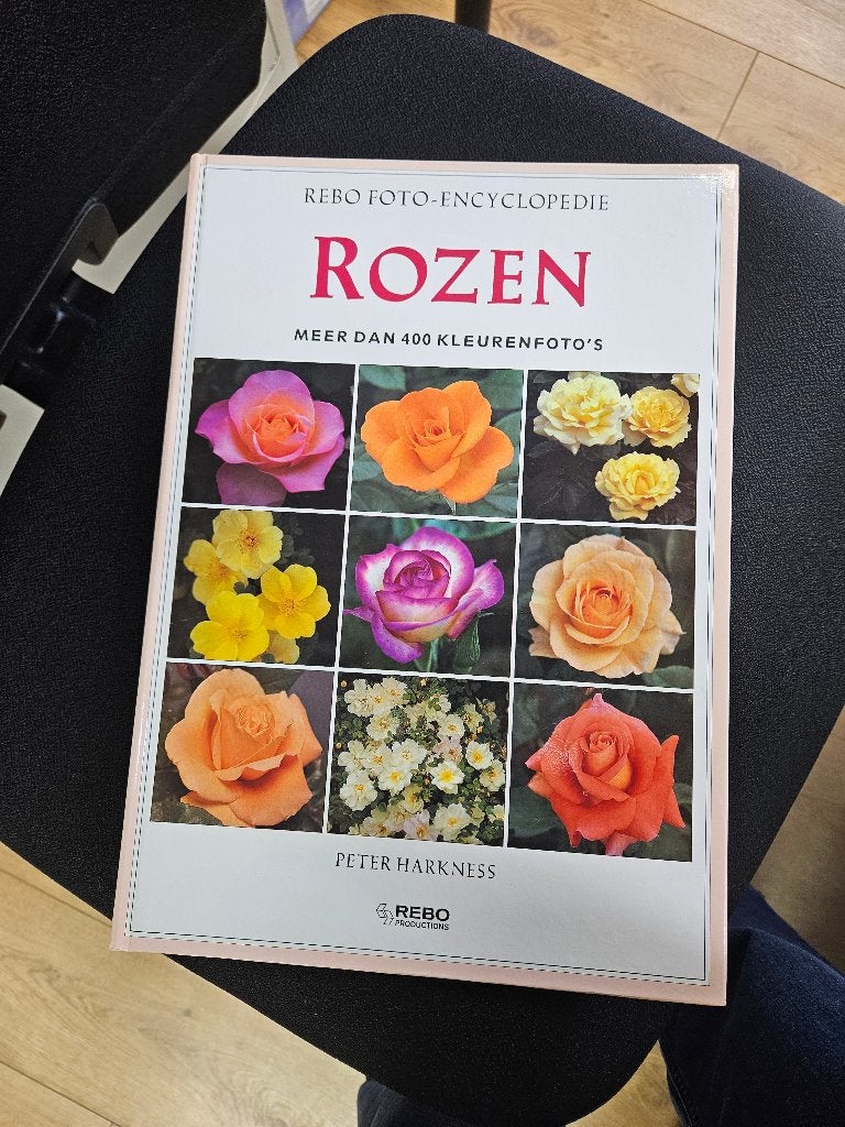 rozen, Ophalen, Zo goed als nieuw, Tuinieren en Tuinplanten, Peter harkness