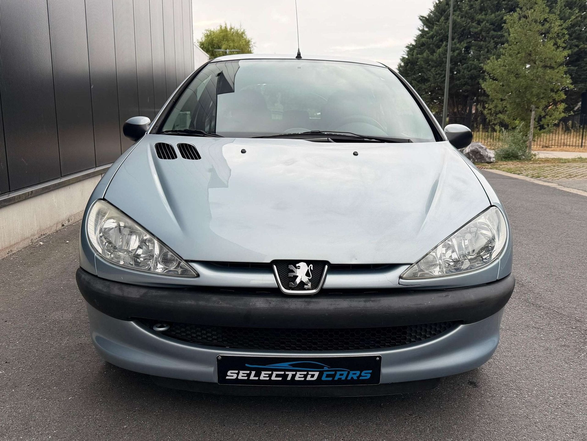 Peugeot 206 1.1i X-Line, Achat, Euro 6, Entreprise, 2 places