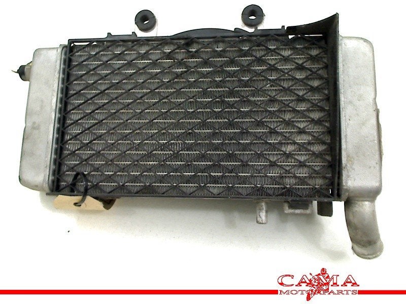 RADIATEUR LINKS Honda VFR 800 Fi 1998-2001 (VFR800Fi RC46), Dhr. S. di Majo, Gebruikt, Info@cama-motorparts.nl, P.J. Troelstraweg 8 8
3144 CX  MAASSLUIS, NL