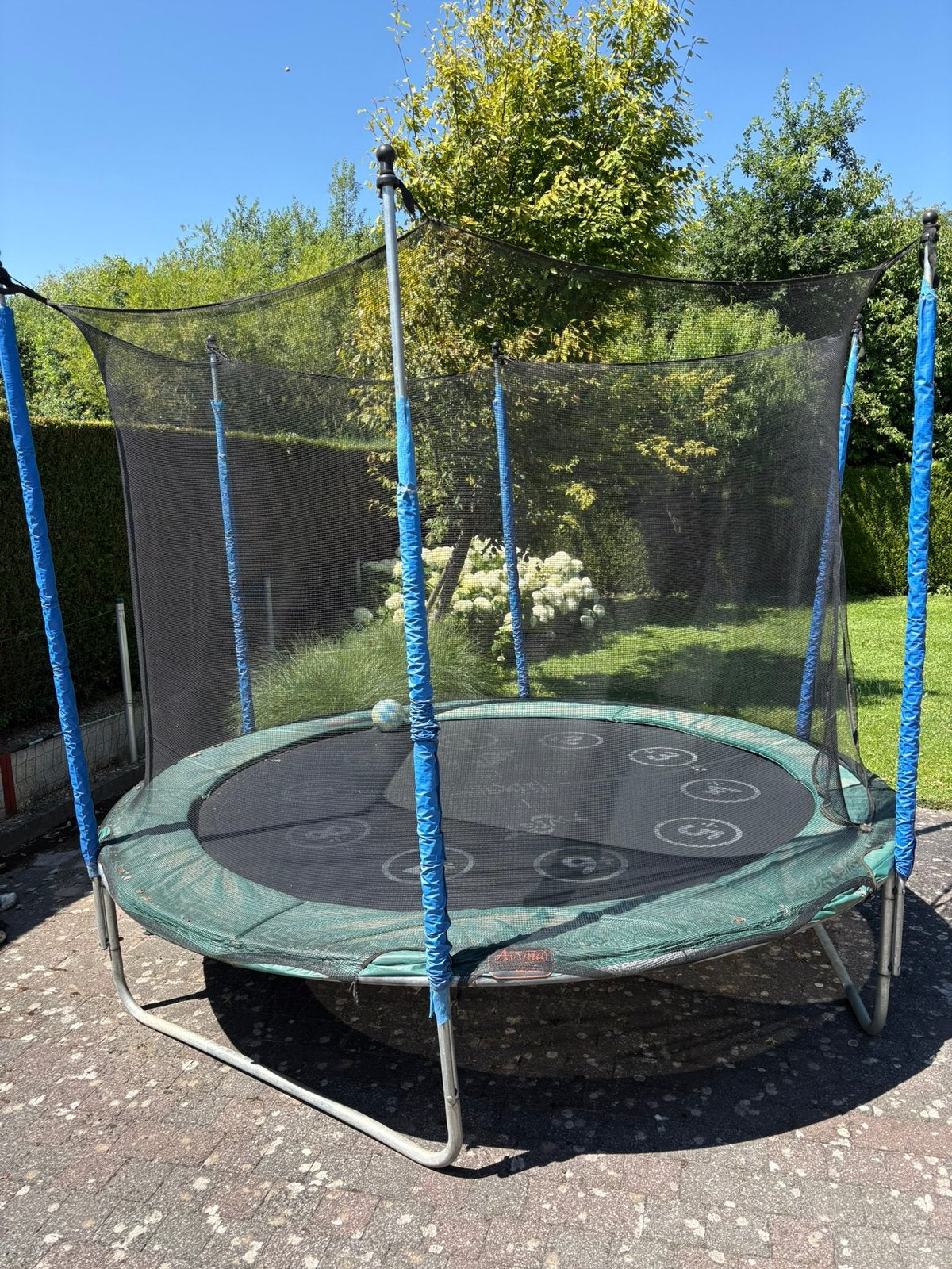 Trampoline met veiligheidsnet, Kinderen en Baby's, Speelgoed | Buiten | Trampolines, Ophalen, Gebruikt