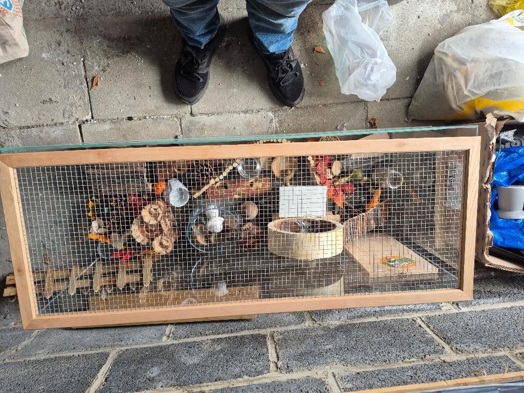 Hamster, Ophalen, Gebruikt, Hamster