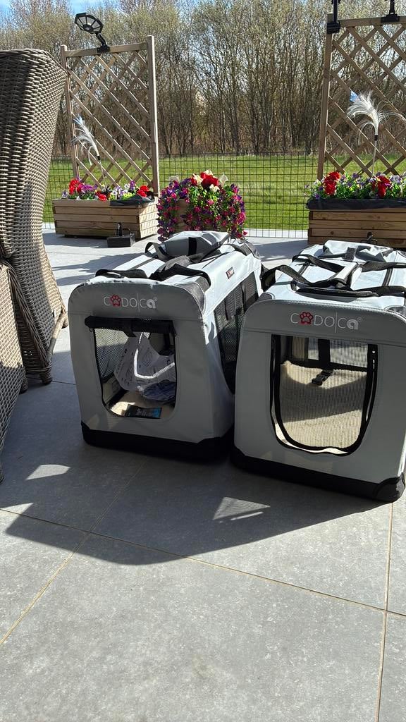 Cage de voyage pour chien M New, Enlèvement