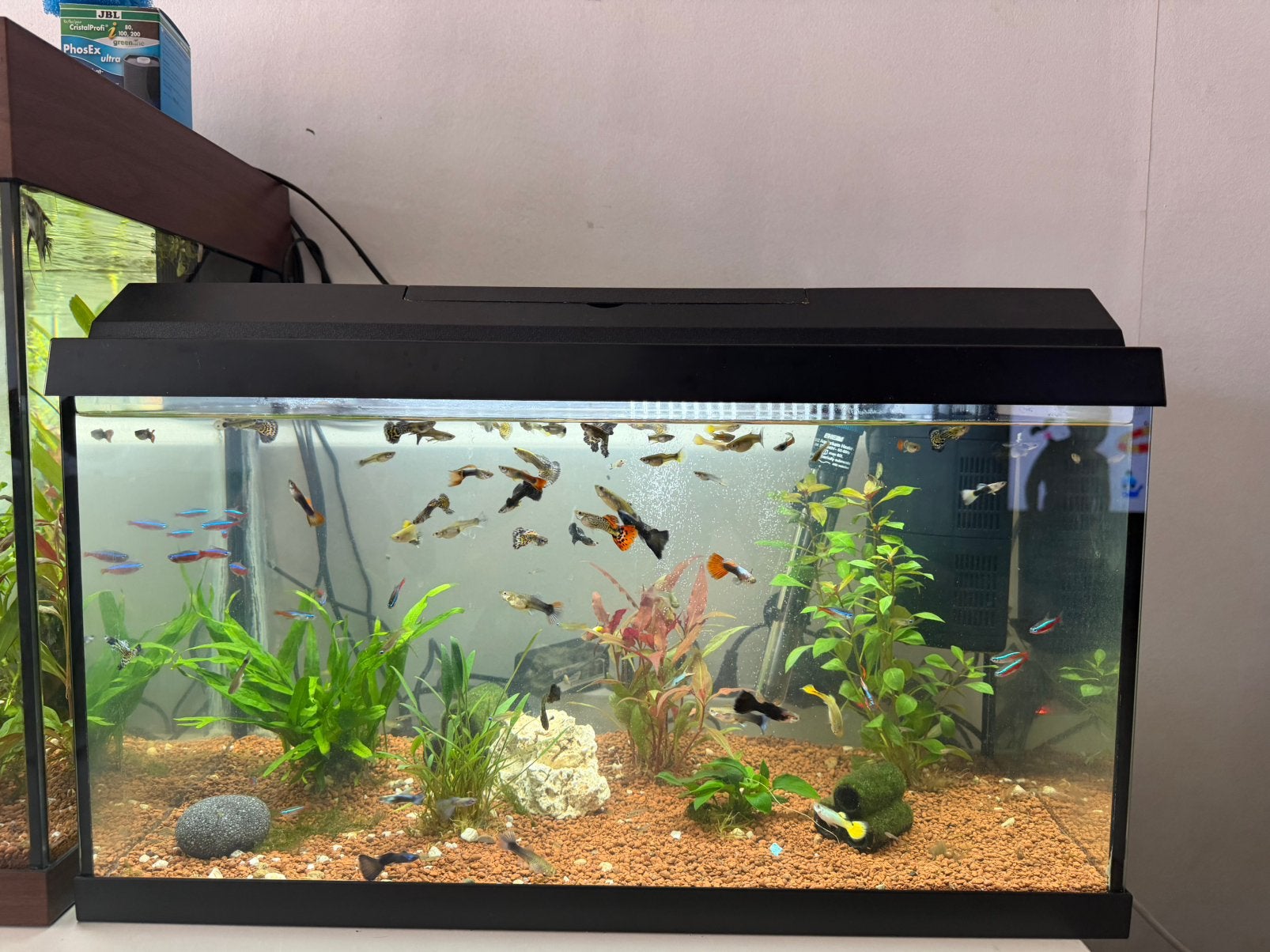 Aquarium juwel, Ophalen, Zo goed als nieuw, Filter, Juwel