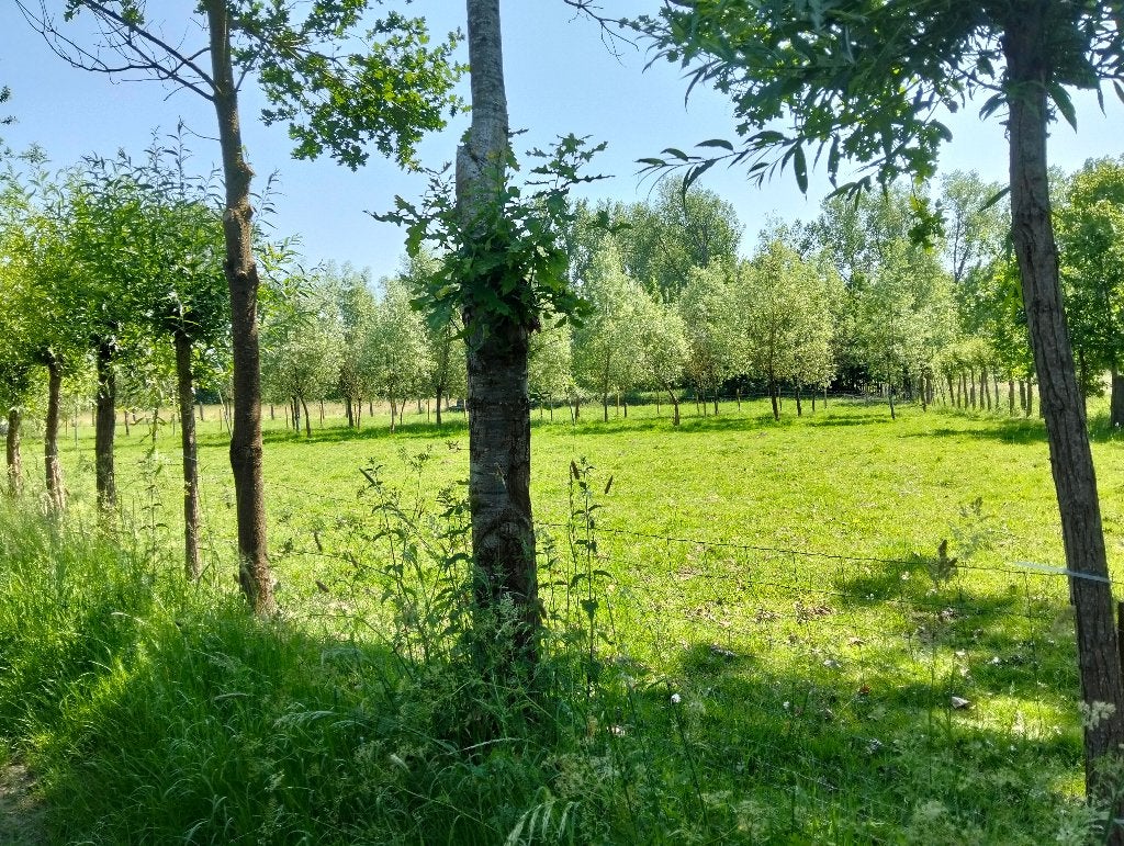 Weide te huur, Dieren en Toebehoren
