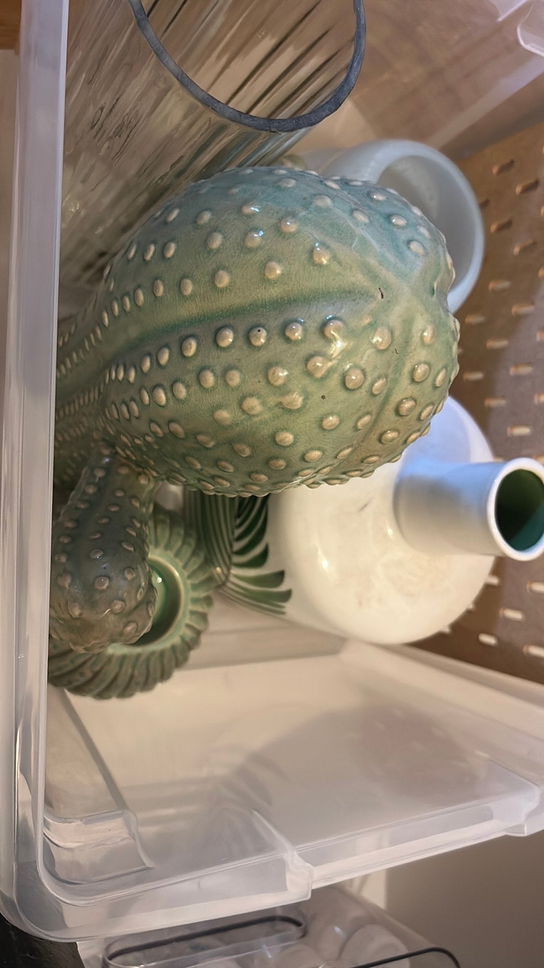Cactus lampjeshouder en vaas, Ophalen