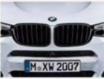 M Performance grille set hoogglans zwart BMW X3 X4 serie F26, Gebruikt, Ophalen of Verzenden, Gernotstrasse 16 44319, Dortmund