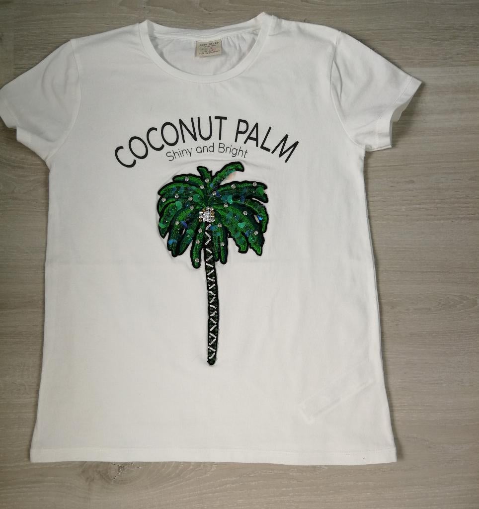 NIEUW t-shirt Zara,maat 140, Meisje, Nieuw, Ophalen of Verzenden, Zara