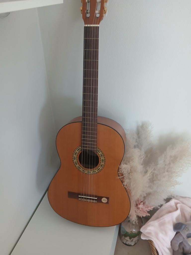 Mooi gitaarinstrument te koop, Ophalen