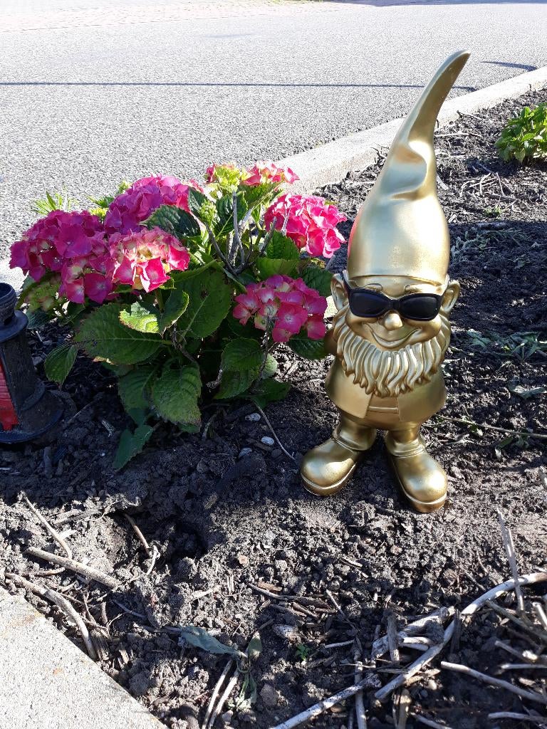 Tuinkabouter goud met zwarte zonnebril, Enlèvement ou Envoi, Neuf, Synthétique, Nain de jardin