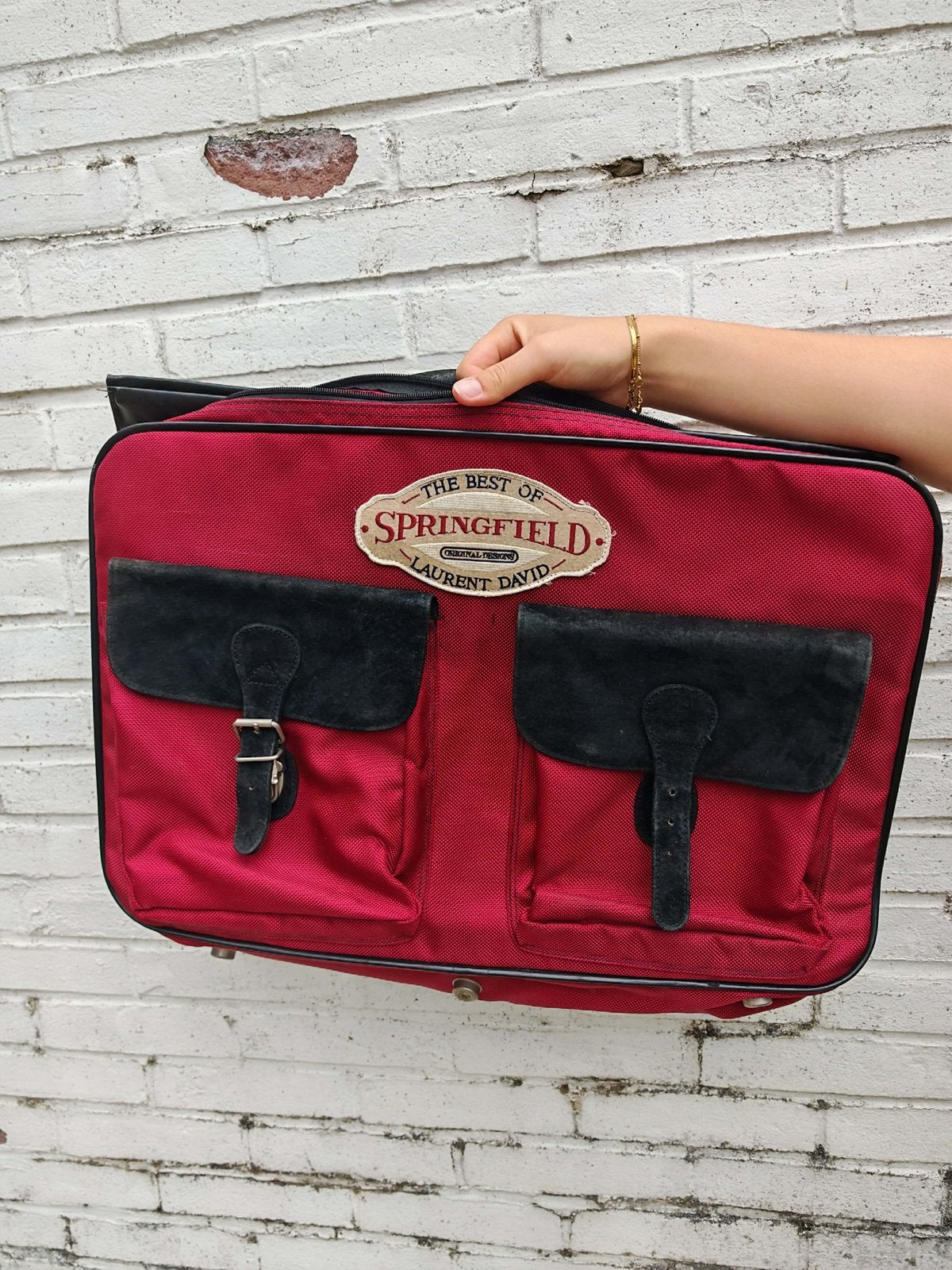 Vintage Laurent David Kledinghoes / Garment Bag, Ophalen, Zo goed als nieuw
