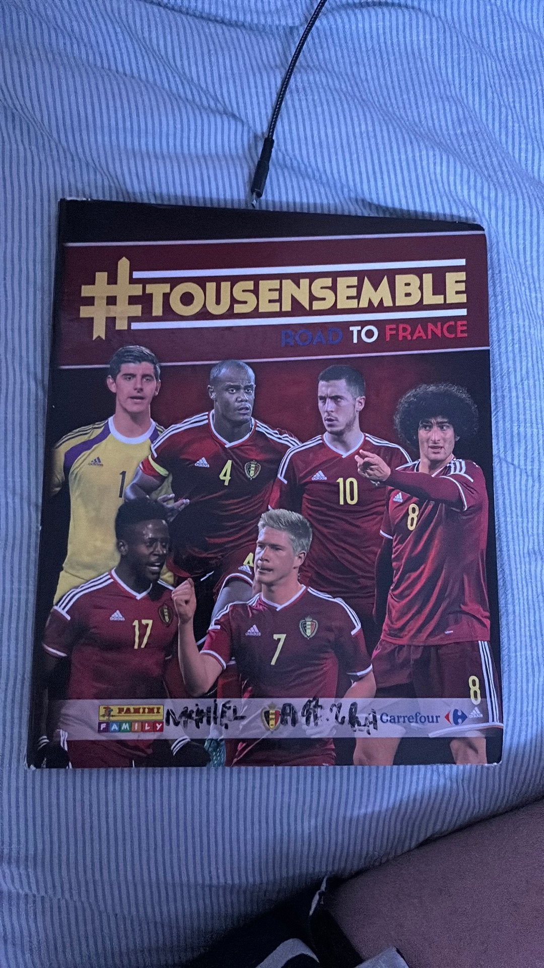 Panini boek belgie 2010 goede staat, Boeken, Sportboeken, Ophalen of Verzenden, Zo goed als nieuw