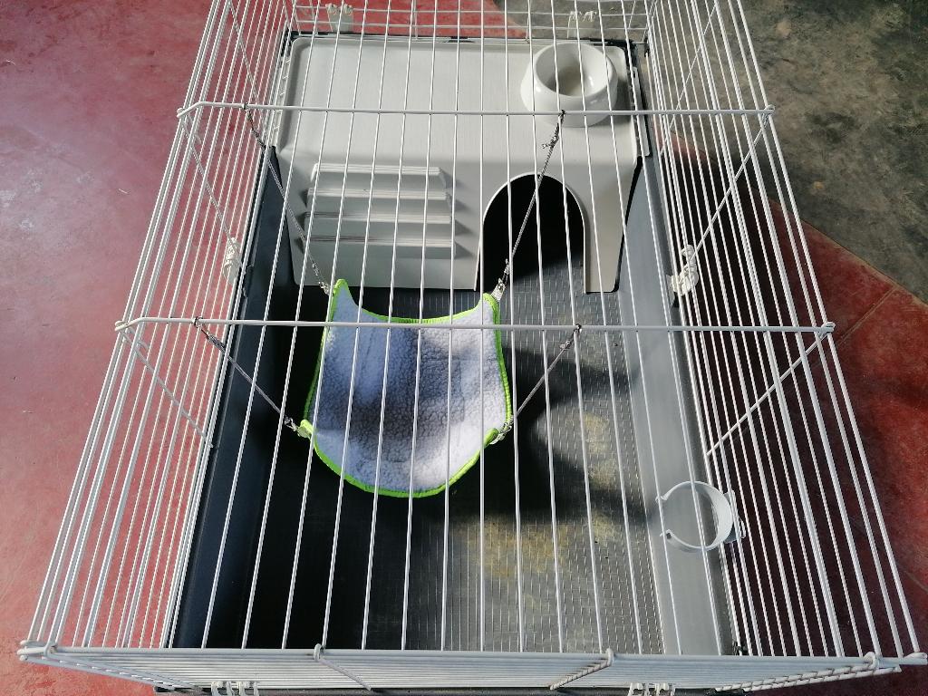 Konijnehok, Moins de 60 cm, 75 à 110 cm, Cage, Comme neuf