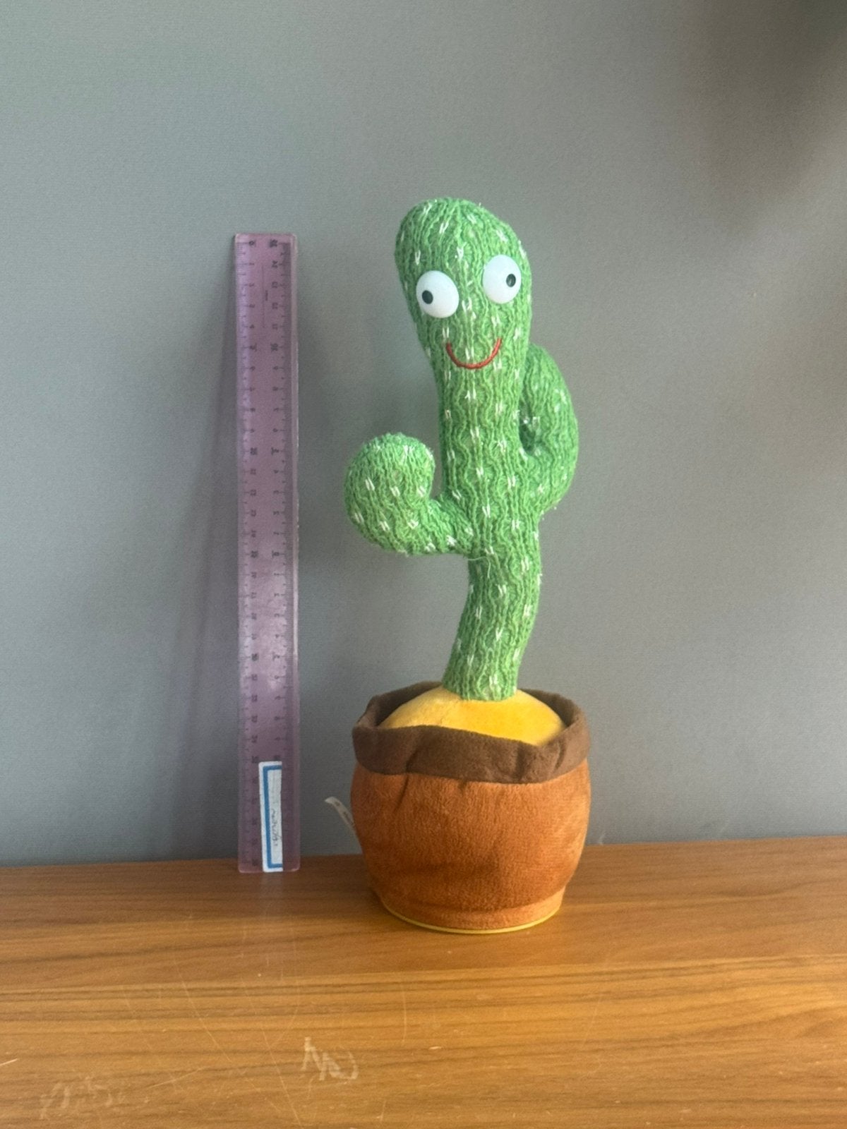 Dansende & zingende cactus 30 cm – €5, Ophalen, Gebruikt