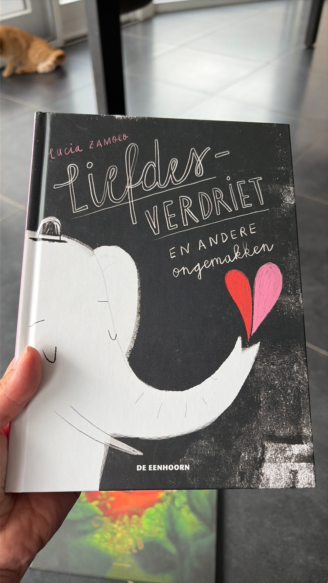 Lucia Zamolo - Liefdesverdriet en andere ongemakken, Ophalen, Lucia Zamolo