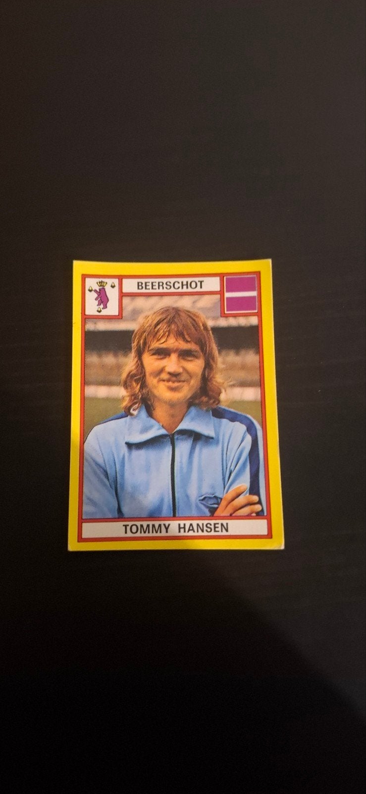 Panini voetbal 1975, Ophalen of Verzenden