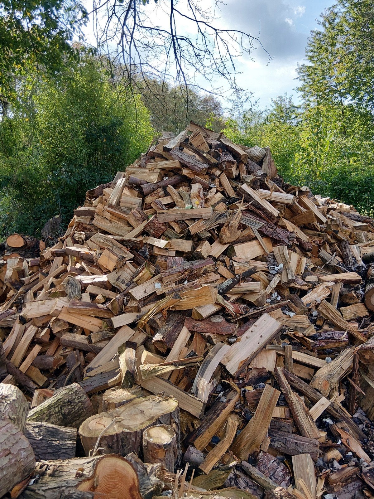Brandhout Droog Naald en Loofhout verkrijgbaar, Tuin en Terras, 6 m³ of meer, Ophalen of Verzenden, Overige houtsoorten, Blokken