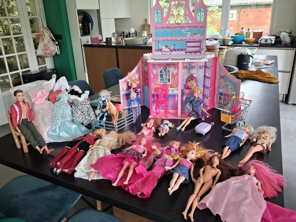 Lot barbie, maison et vêtements, Enlèvement, Utilisé