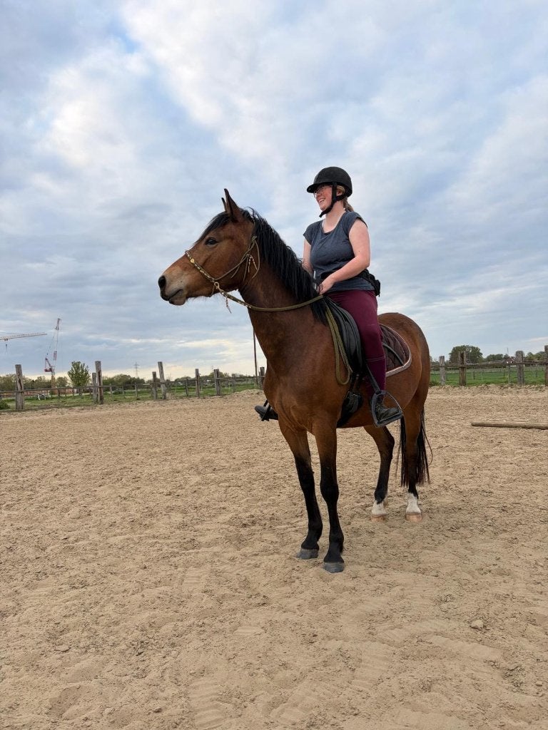 Jument poney D courageuse de 3 ans, Avec puce électronique, M, Poney de récréation, Poney D (1.37 m à 1.48m)