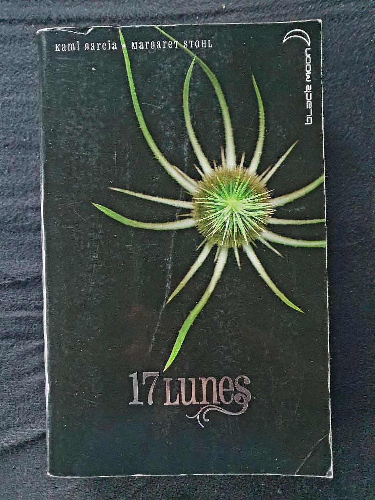 17 lunes / Kami Garcia et Margaret Stohl, Enlèvement ou Envoi