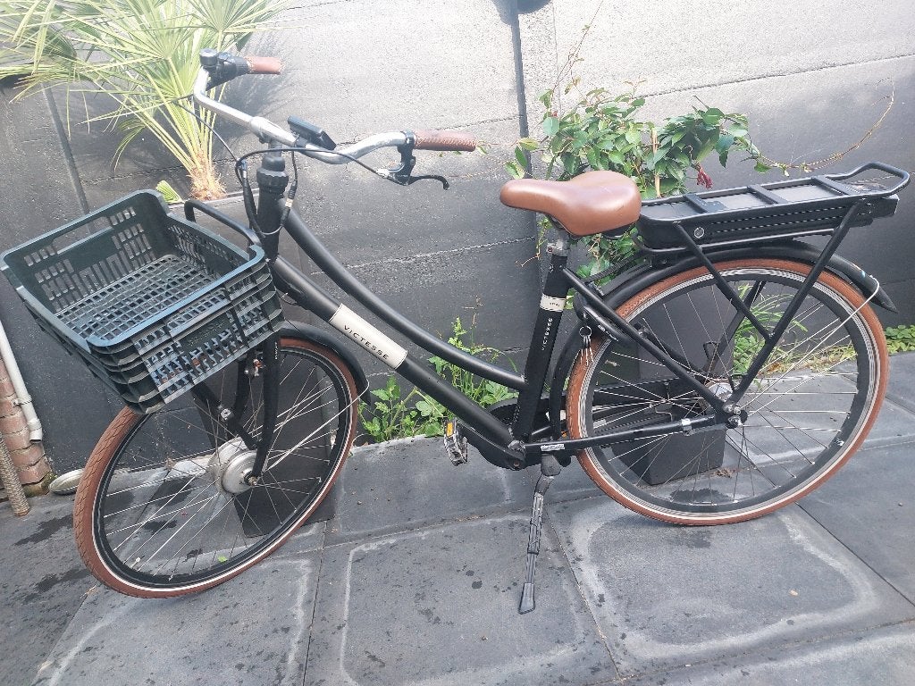 Elektrische fiets rijdt goed, Fietsen en Brommers, Ophalen