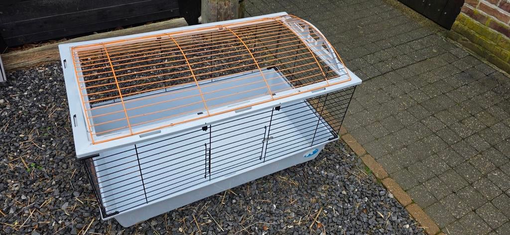 Cage pour petits animaux, Moins de 60 cm, 75 à 110 cm, Cage, Cobaye