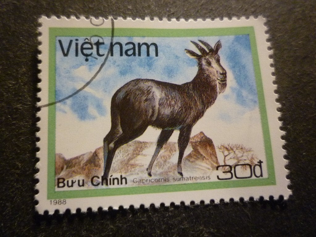 Vietnam 1988 Mi 1985(o) Gestempeld/Oblitéré, Ophalen of Verzenden