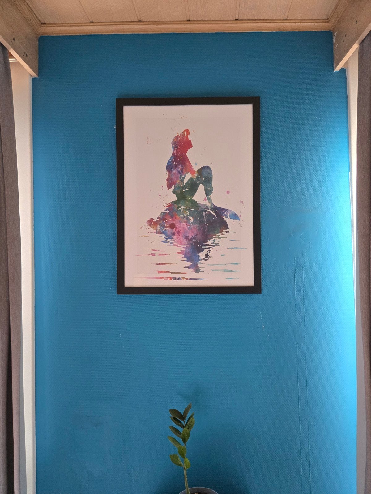 kader kleine zeemeermin, Verzamelen, Ophalen, Pocahontas of Kl. Zeemeermin, Zo goed als nieuw, Plaatje of Poster