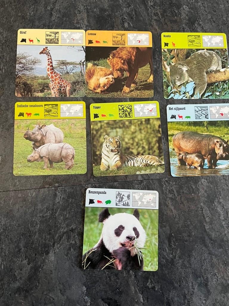 7 kaarten dieren: koala - panda - tijger - giraf - neushoorn, Verzamelen, Ophalen of Verzenden