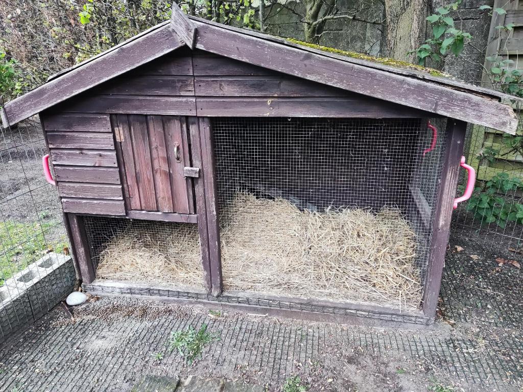 Groot degelijk konijnenhok, Ophalen, 90 cm of meer, Konijn, Hok