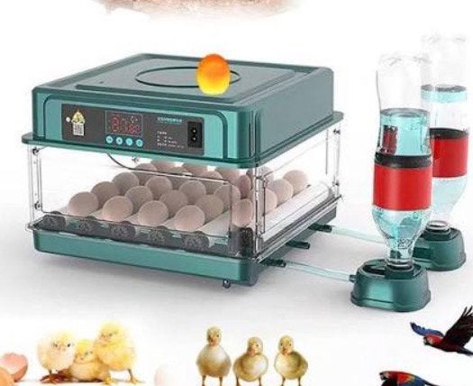 Broedmachine gezocht voor beginnende, Dieren en Toebehoren
