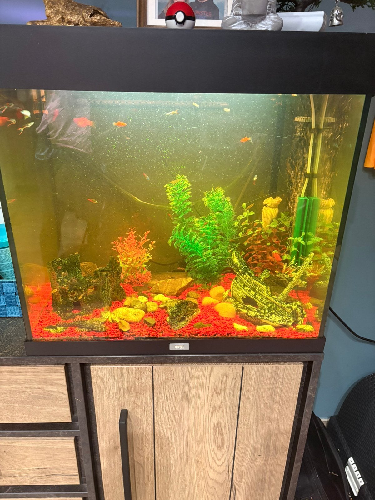 Aqarium + vissen + filter + viseten te koop, Dieren en Toebehoren, Ophalen, Zo goed als nieuw, Filter