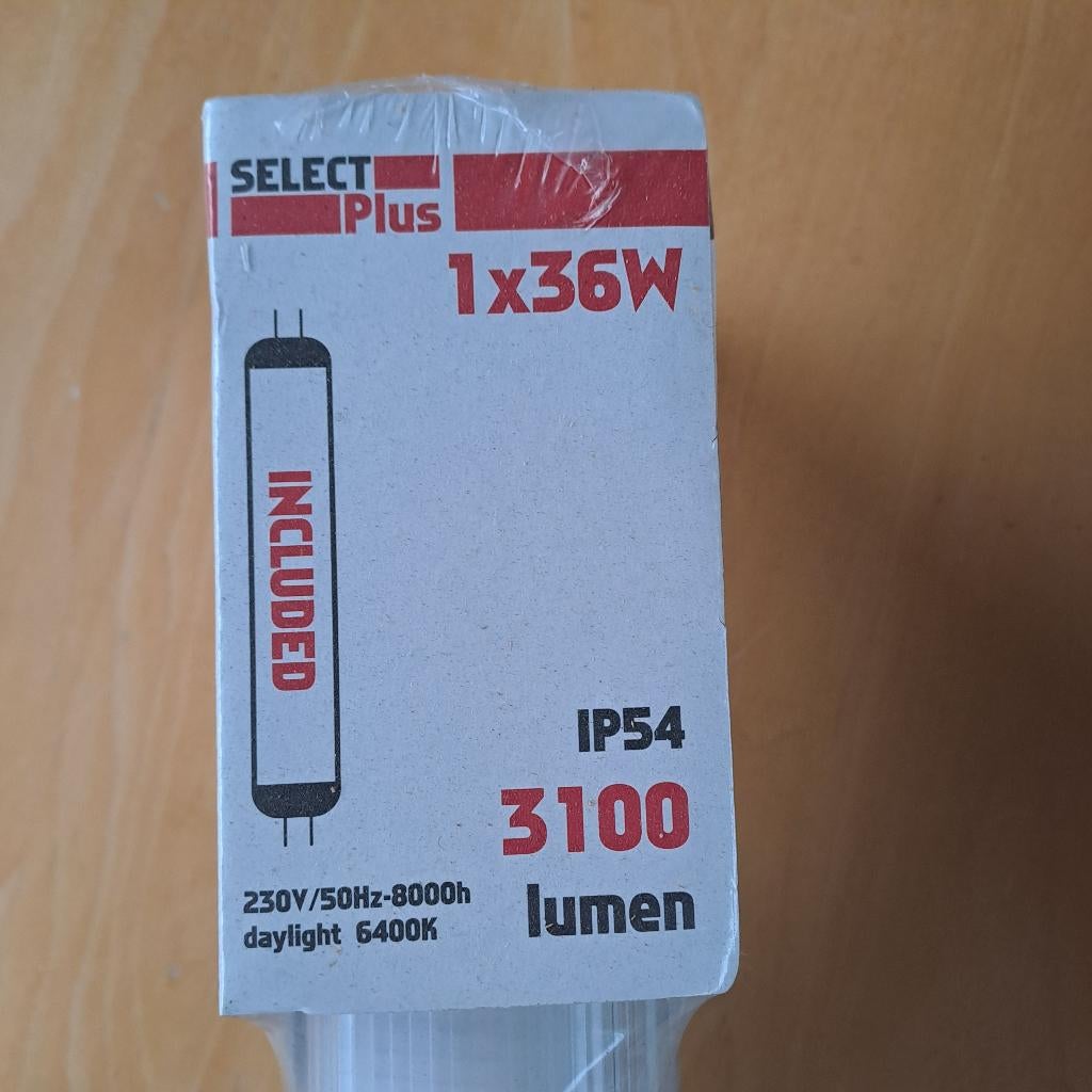 éclairage, Enlèvement, Neuf, Moins de 50 watts, Lampe