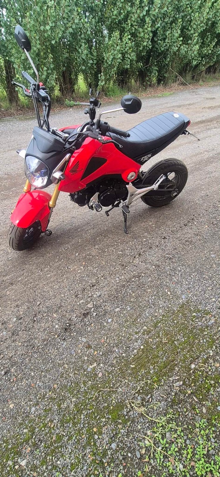 Honda Msx 125, Motos, Occasion, Permis Moto A1 minimum, Particulier, Autre