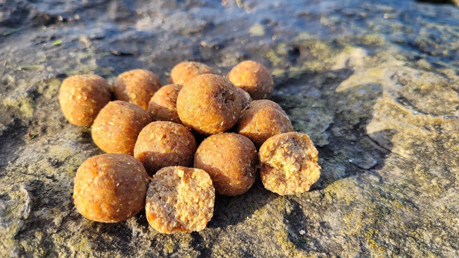 Foie à l'ail, Envoi, Poisson