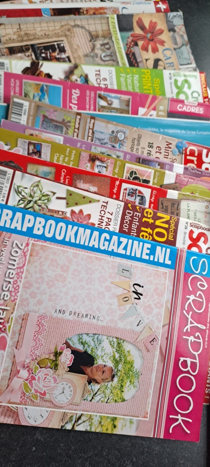 15 livres avec des idées de scrapbooking, Hobby & Loisirs créatifs, Scrapbooking, Enlèvement ou Envoi, Comme neuf