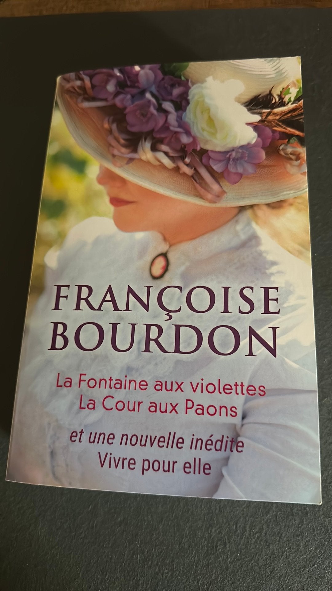 La fontaine aux violettes…de Françoise Bourdon, Livres, Romans, Enlèvement ou Envoi, Comme neuf