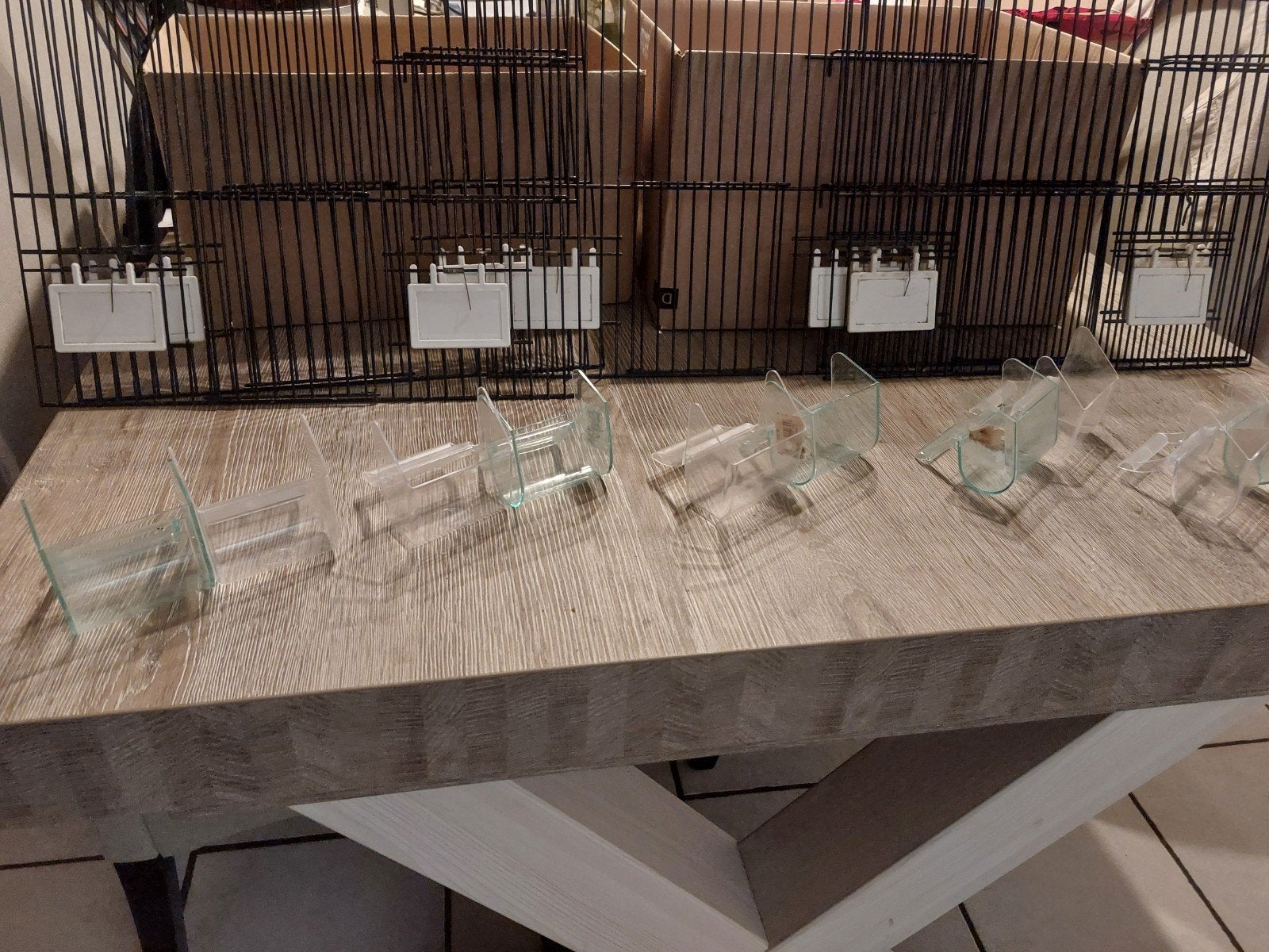 5 front kweekkooi 40×30 en eetbakjes, Dieren en Toebehoren, Ophalen of Verzenden