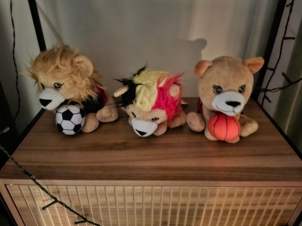 Lot de nounours 6 euros le tout, Ophalen, Zo goed als nieuw