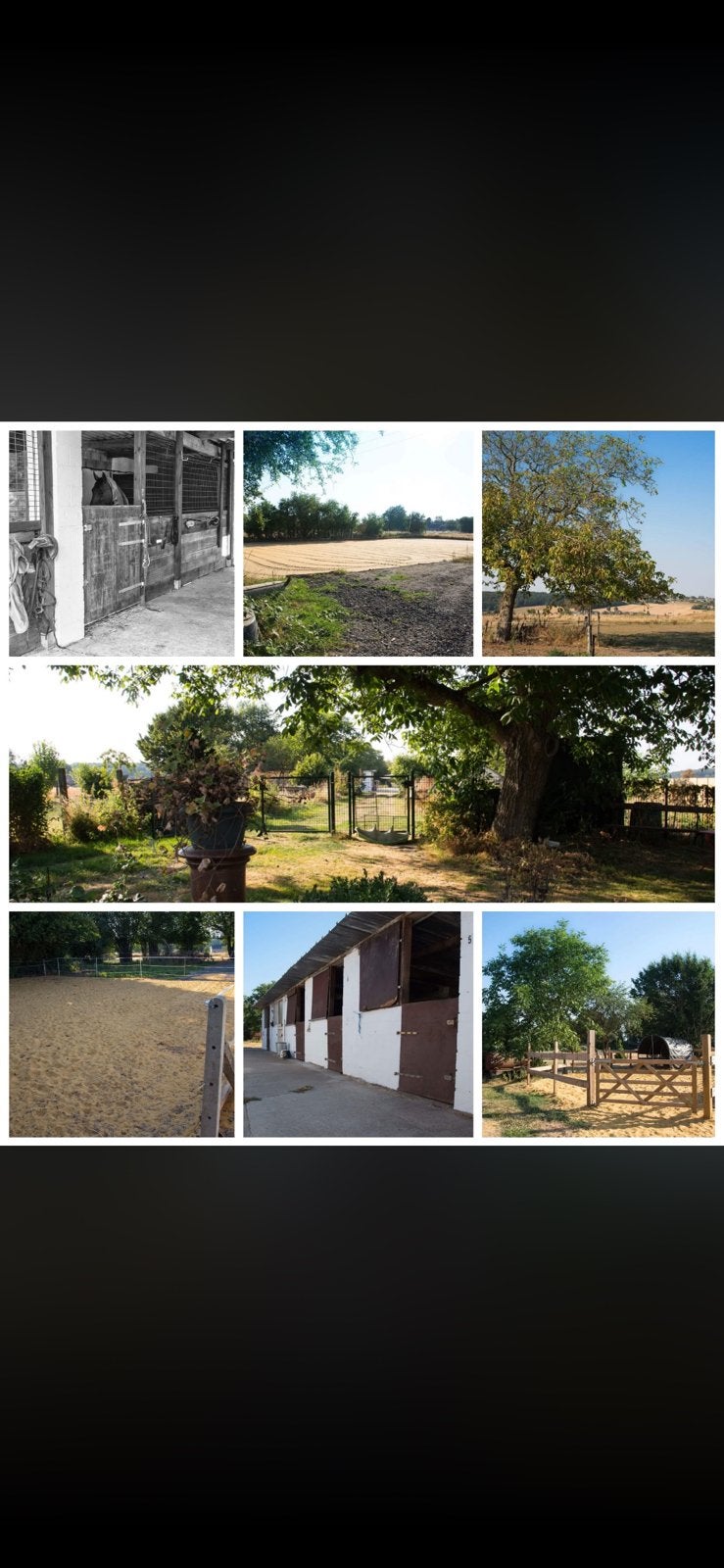 Places disponibles dans ecurie privee, Dieren en Toebehoren, Weidegang, 4 paarden of pony's of meer