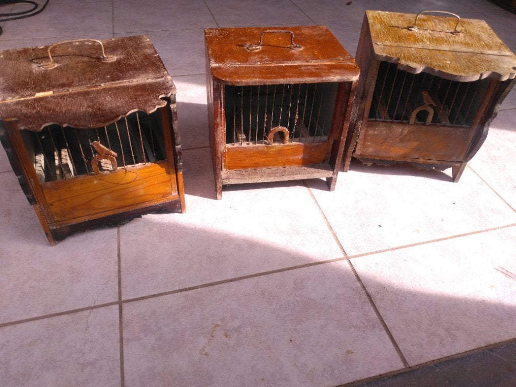 3 cages anciennes a Pinson oiseaux, Enlèvement ou Envoi