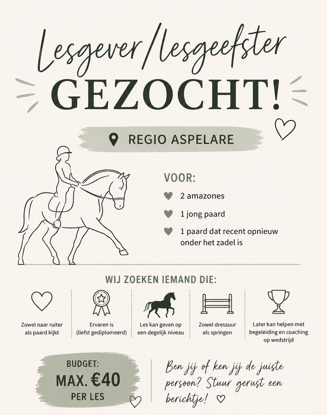 Lesgever/lesgeefster gezocht, Dieren en Toebehoren, Gechipt, Zadelmak, 7 tot 10 jaar, 160 tot 165 cm