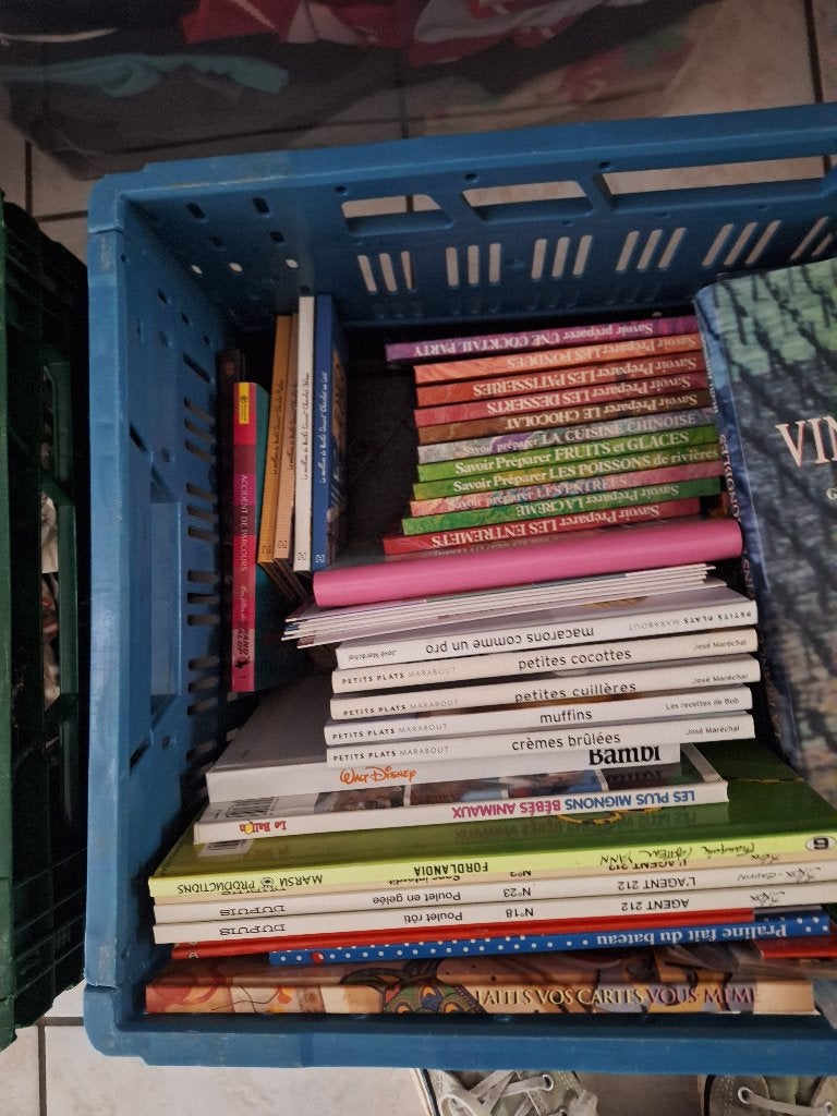Lot de livres divers., Ophalen, Gelezen