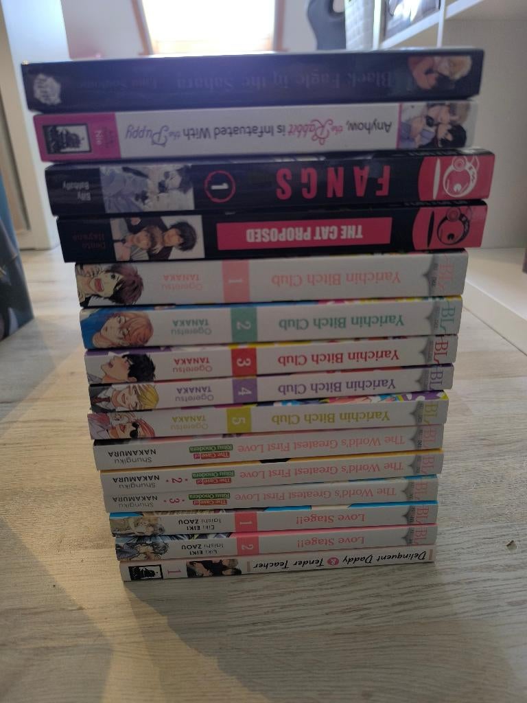 BL manga + 1 homme/femme, Livres, Enlèvement ou Envoi, Utilisé, Plusieurs comics, Japon (Manga)