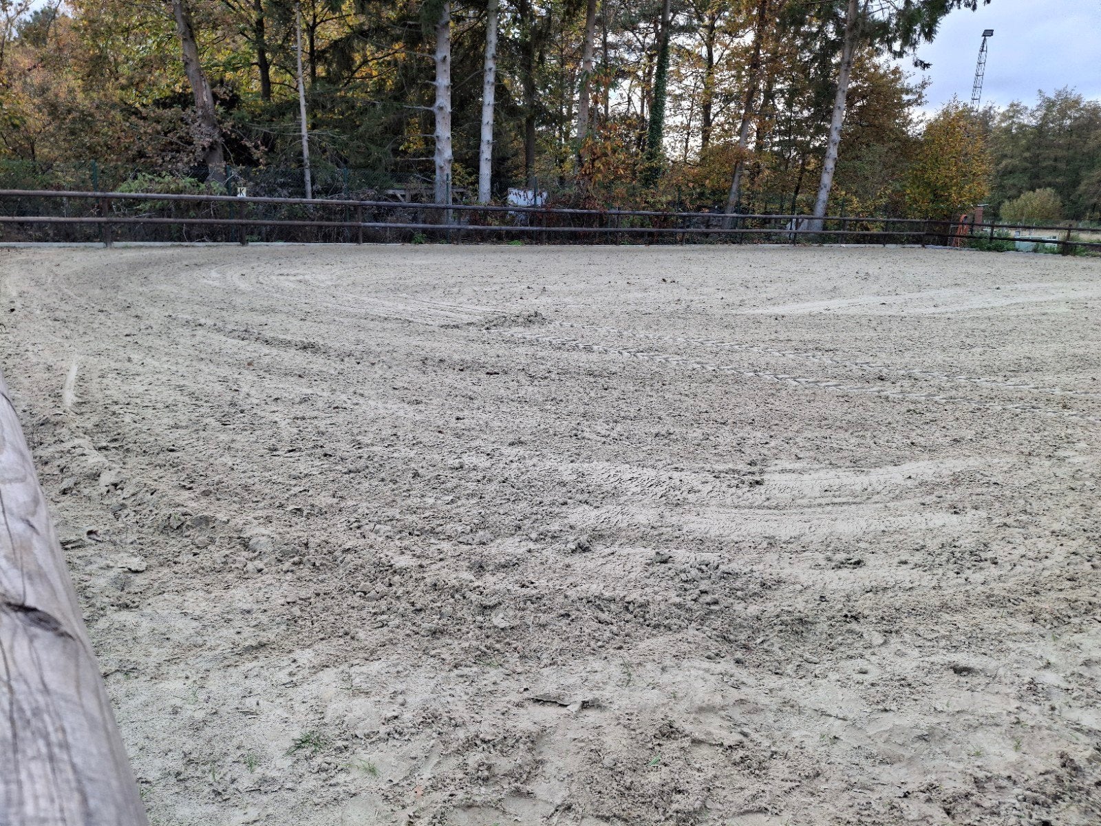 rijbak piste paardenpiste dressuur jumping