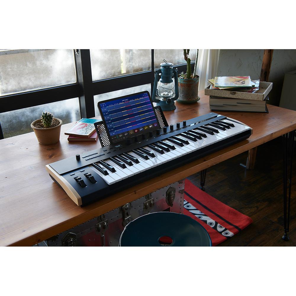 Korg Keystage 49, Muziek en Instrumenten, Keyboards, Korg, Ophalen, 49 toetsen, Midi-aansluiting